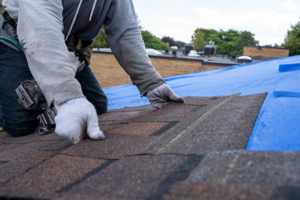 Best Flat Roof Repair Services  in Scottsville, NY