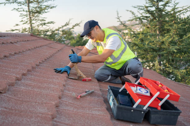 Best Roof Repair Services  in Scottsville, NY